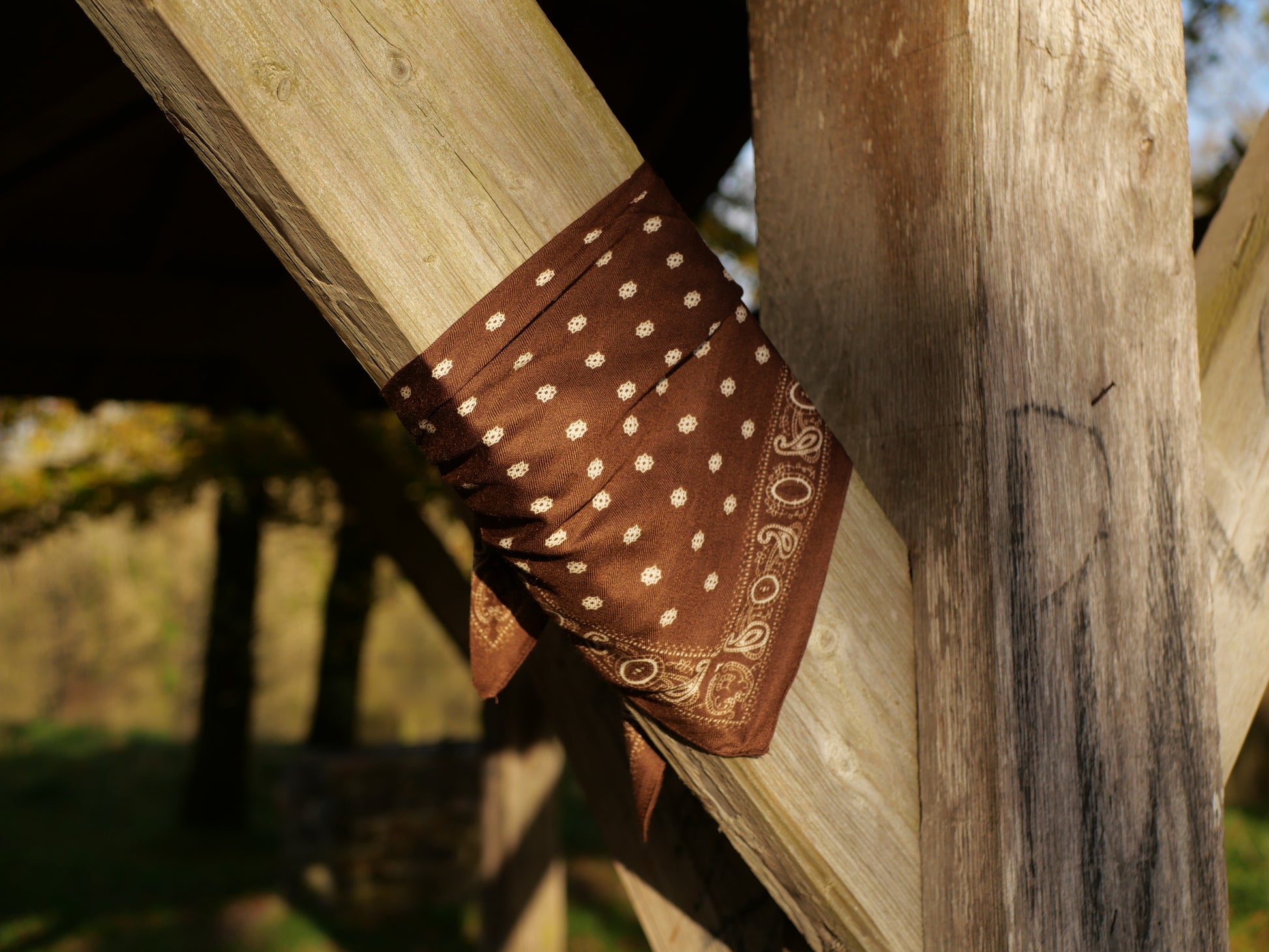 Foulard carre soie marron poid blanc chez ceane 